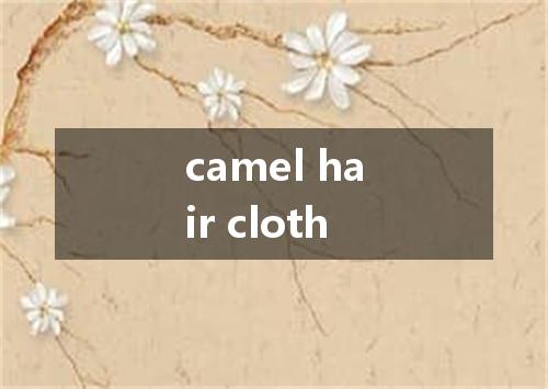 camel hair cloth是什么意思