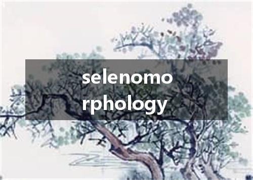 selenomorphology是什么意思