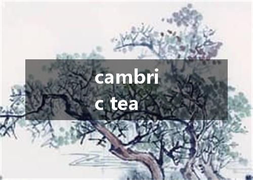 cambric tea是什么意思