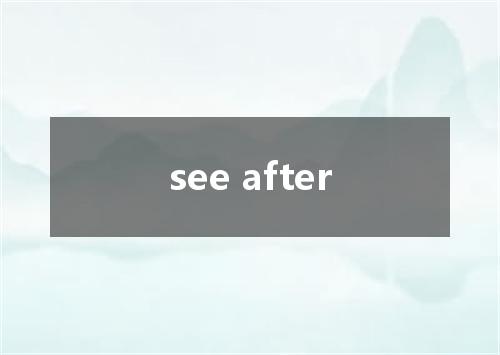 see after是什么意思