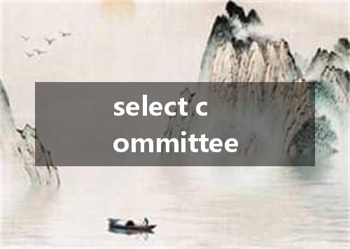 select committee是什么意思