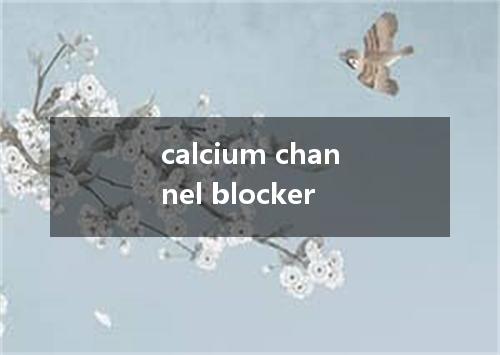 calcium channel blocker是什么意思