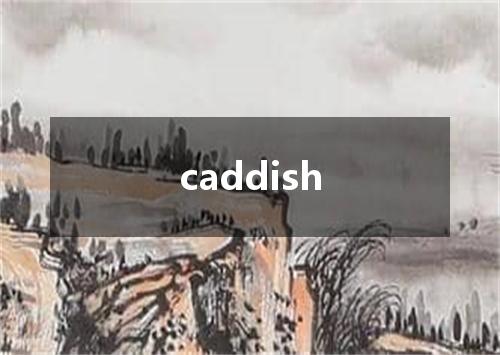 caddish是什么意思