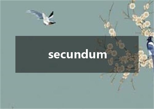 secundum是什么意思