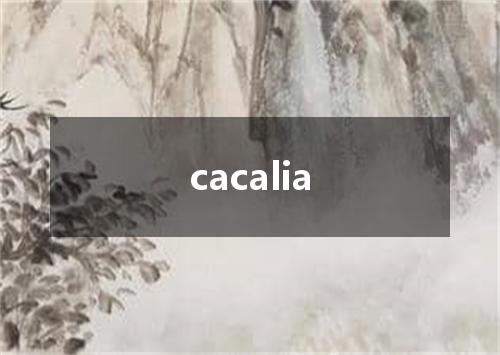 cacalia是什么意思