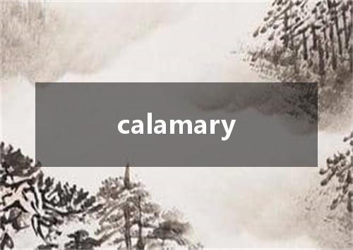 calamary是什么意思