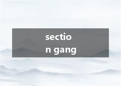 section gang是什么意思