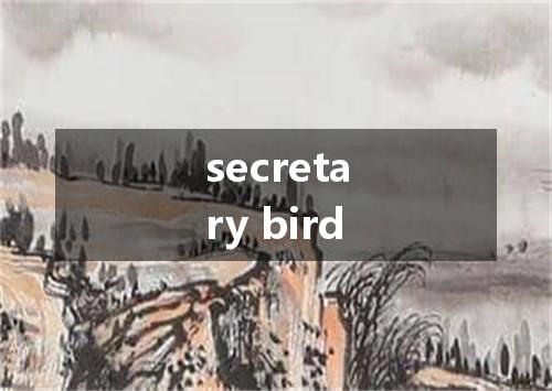 secretary bird是什么意思