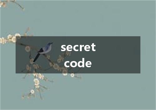 secret code是什么意思