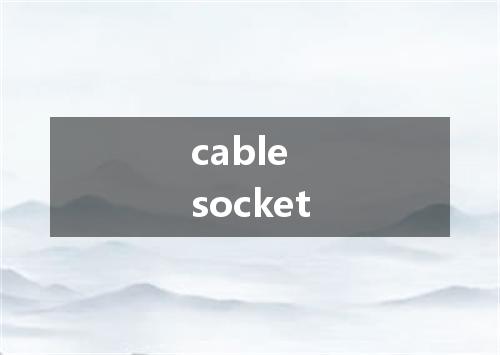 cable socket是什么意思