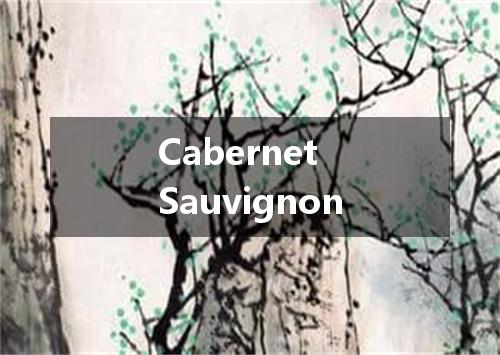 Cabernet Sauvignon是什么意思