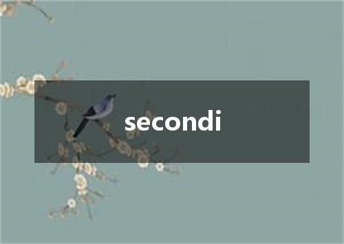 secondi是什么意思