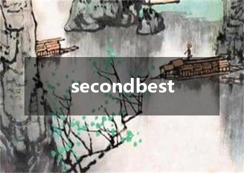 secondbest是什么意思