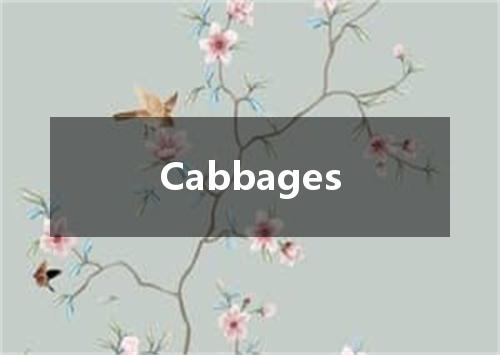 Cabbages是什么意思