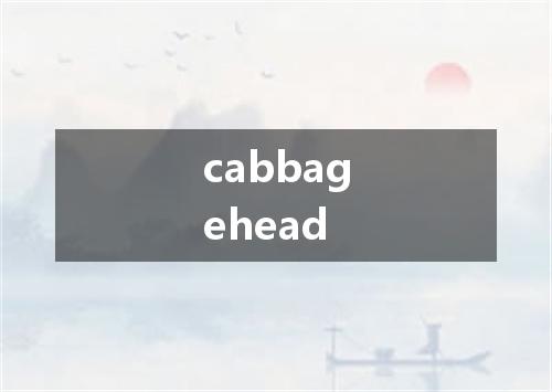 cabbagehead是什么意思