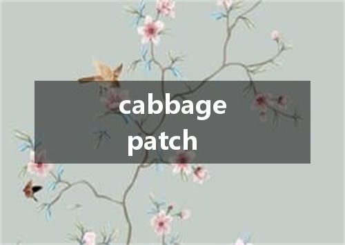 cabbage patch是什么意思