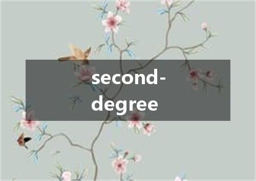 second-degree是什么意思