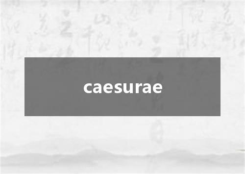 caesurae是什么意思