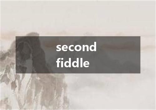 second fiddle是什么意思
