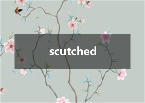 scutched是什么意思