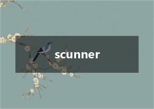 scunner是什么意思