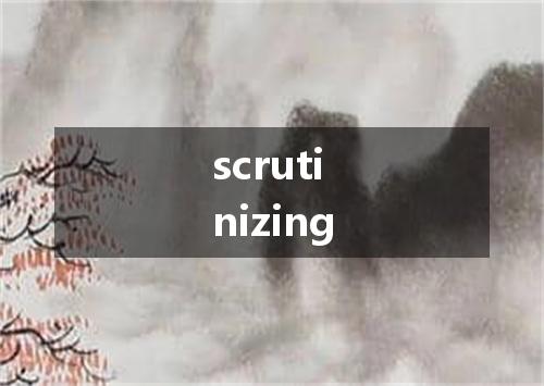 scrutinizing是什么意思