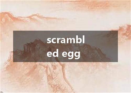 scrambled egg是什么意思