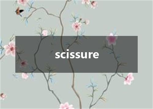 scissure是什么意思