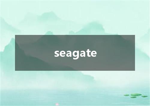 seagate是什么意思