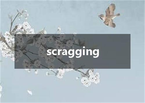 scragging是什么意思