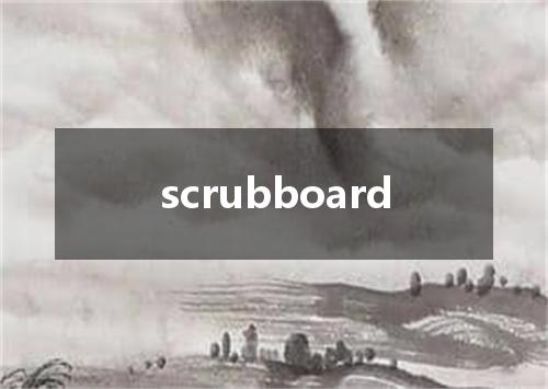 scrubboard是什么意思