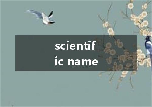scientific name是什么意思