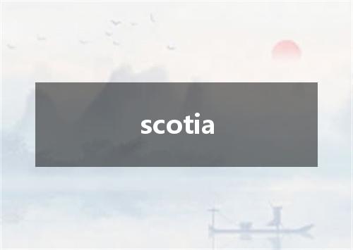 scotia是什么意思