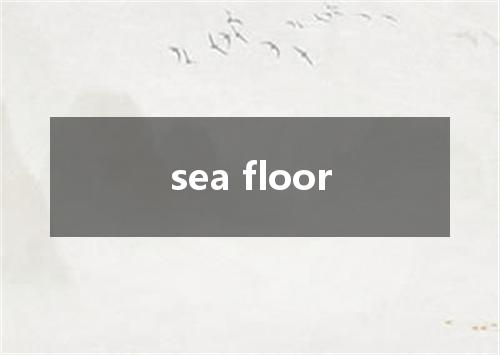 sea floor是什么意思