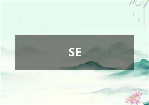 SE是什么意思