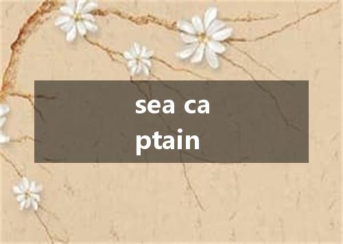 sea captain是什么意思
