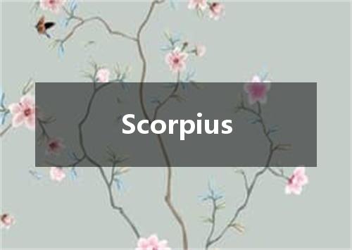 Scorpius是什么意思