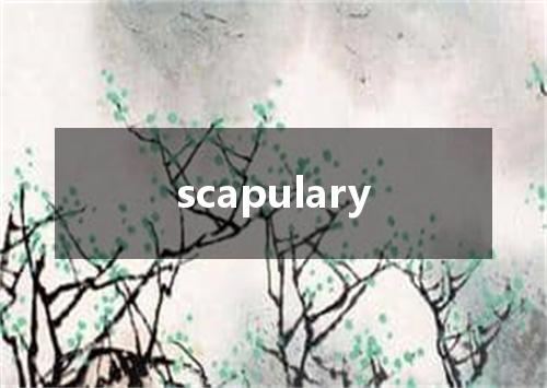 scapulary是什么意思