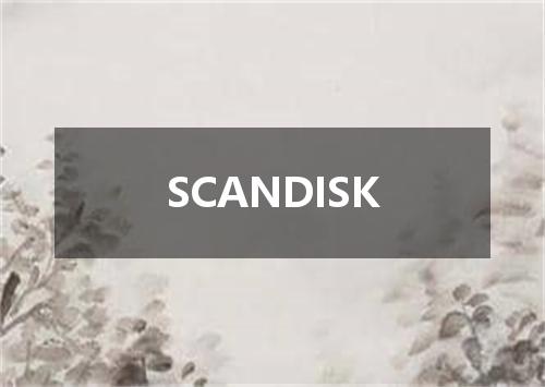 SCANDISK是什么意思