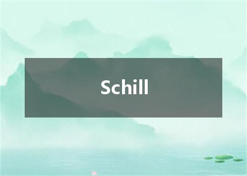 Schill是什么意思