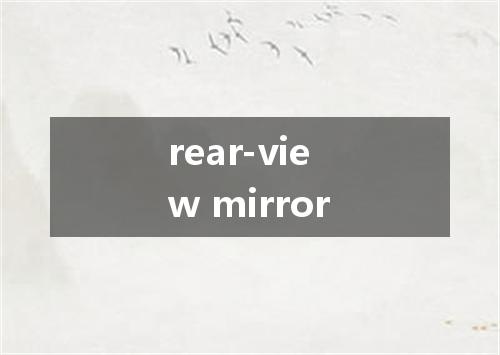 rear-view mirror是什么意思