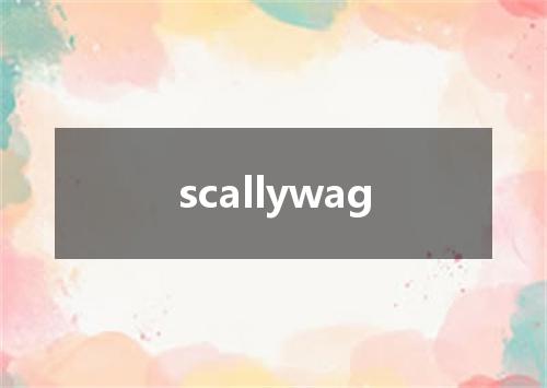 scallywag是什么意思