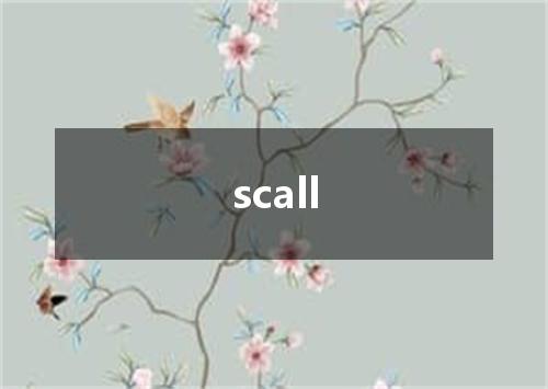 scall是什么意思