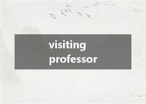 visiting professor是什么意思