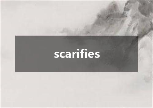 scarifies是什么意思