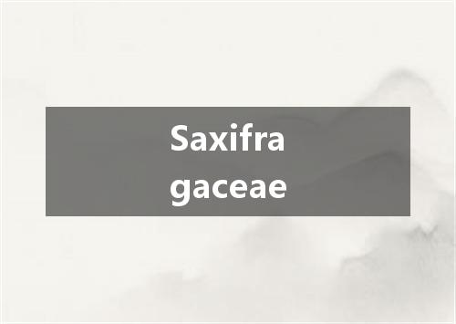 Saxifragaceae是什么意思