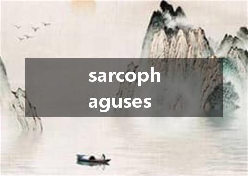 sarcophaguses是什么意思
