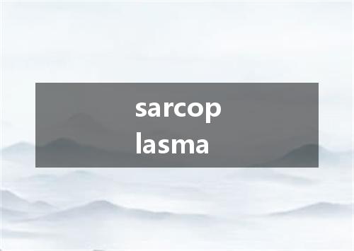 sarcoplasma是什么意思