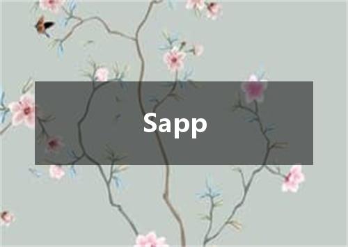 Sapp是什么意思