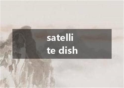 satellite dish是什么意思